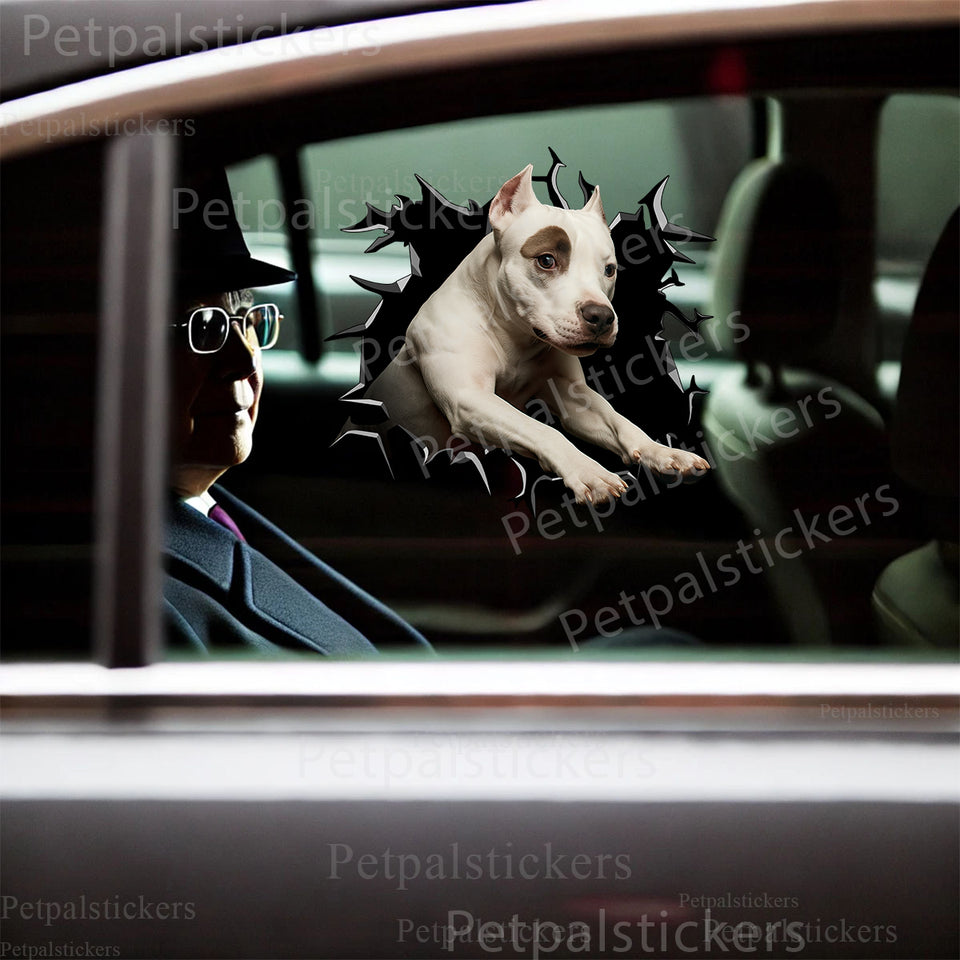 Vibrant Pitbull graphic decal applied smoothly onto the side car door of a white sedan.