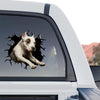 Glossy Pitbull peeking decal showcased on the rear tinted glass of a truck outdoors.