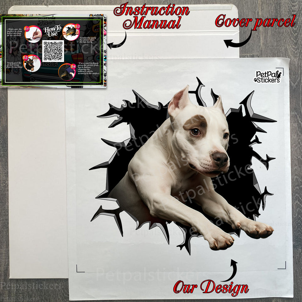 Protective cardboard package containing the gloss laminated Pitbull decal with instructions.