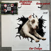 Protective cardboard package containing the gloss laminated Pitbull decal with instructions.