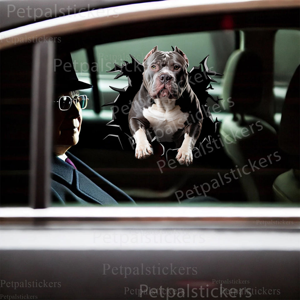 Outdoor decal featuring a playful Pitbull applied smoothly onto a white car door.