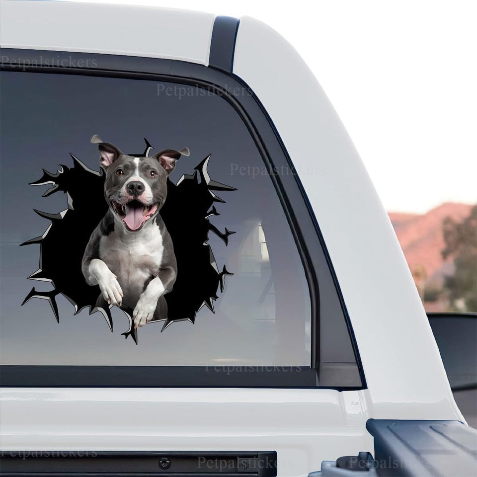 Clear gloss vinyl Pitbull decal highlighting the standalone product design with vibrant artwork.