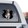 Clear gloss vinyl Pitbull decal highlighting the standalone product design with vibrant artwork.