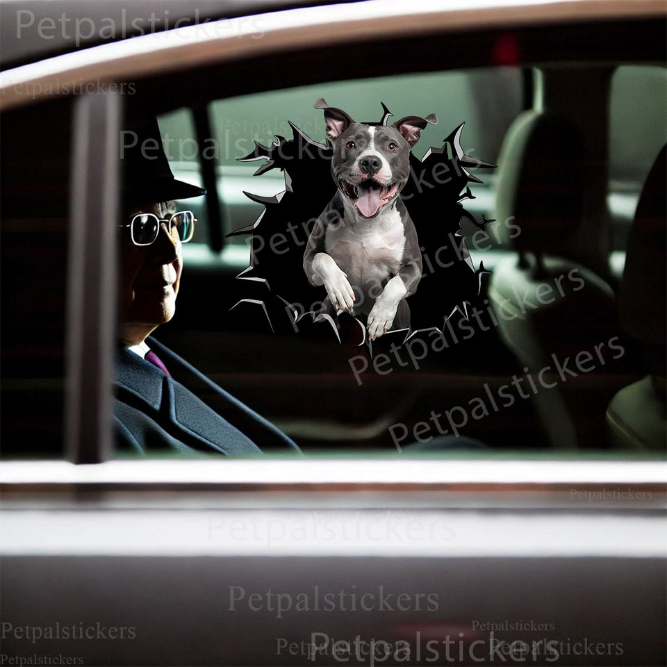 Vibrant peeking Pitbull graphic sticker applied smoothly onto an exterior metal car door.