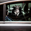 Vibrant peeking Pitbull graphic sticker applied smoothly onto an exterior metal car door.