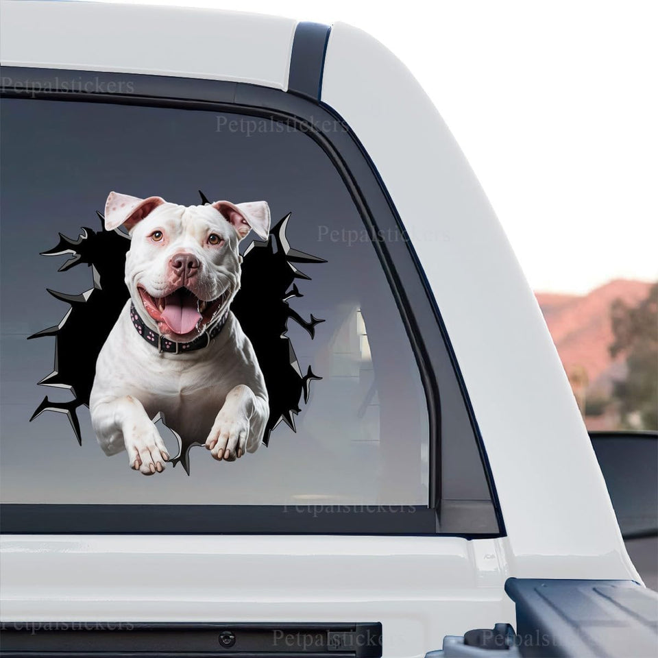 Pitbull for cars graphic decal shown as a standalone product design on a white background.