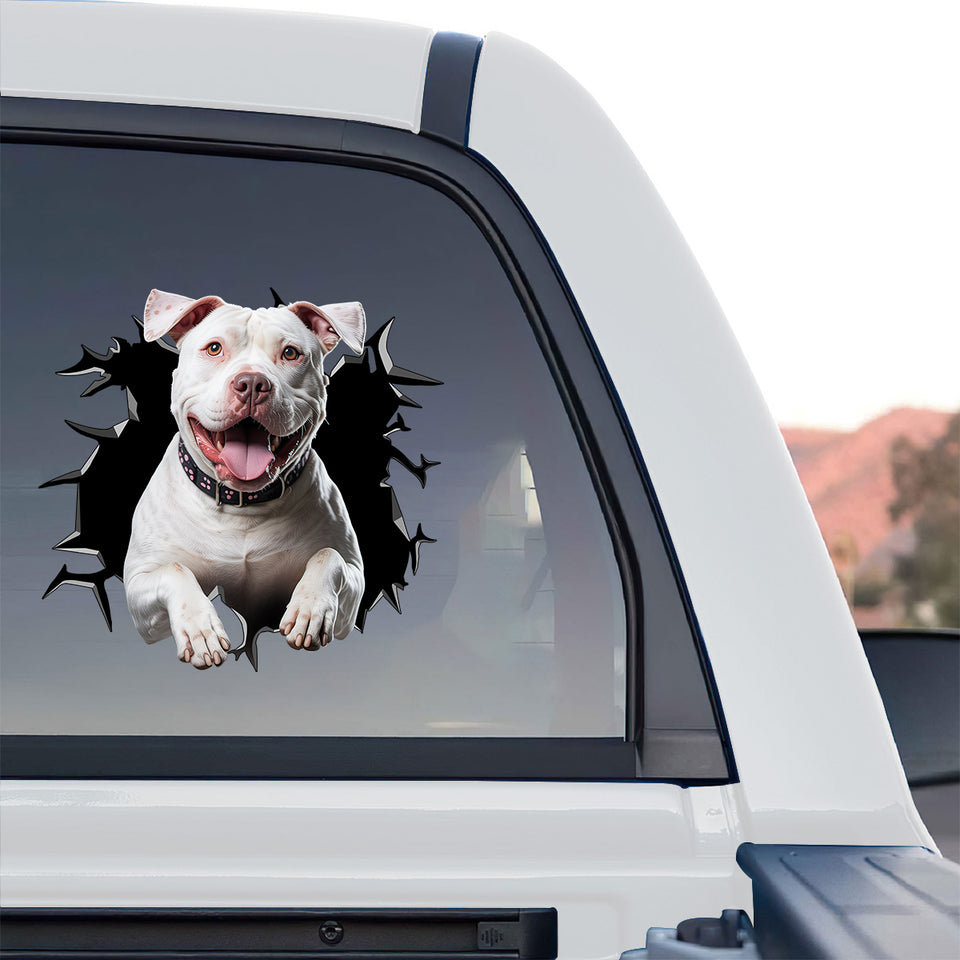 Waterproof Pitbull window decal applied cleanly to the rear window of a truck.