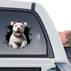 Waterproof Pitbull window decal applied cleanly to the rear window of a truck.