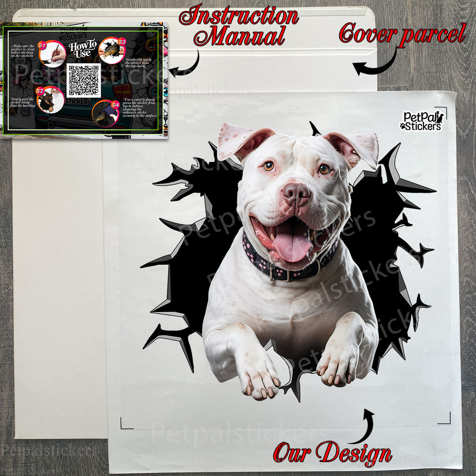 Protective product package containing the Pitbull car decal with clear instructions.