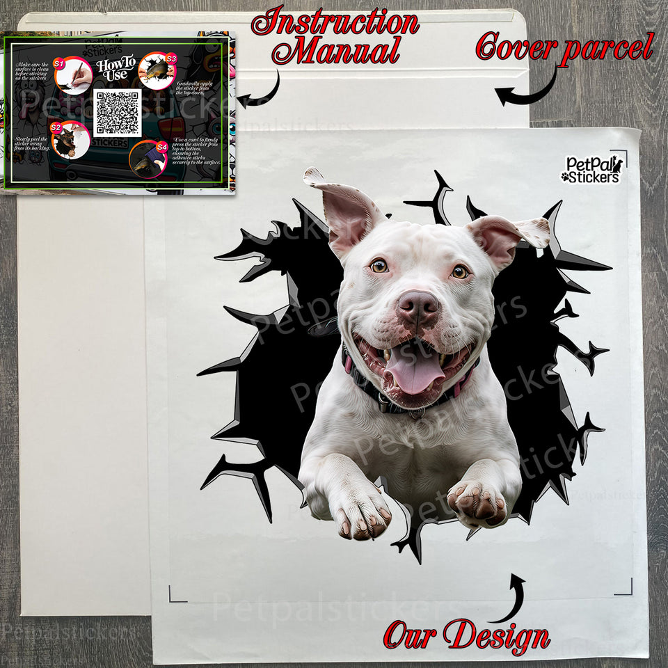 Protective package presentation holding the Pitbull On Board decal with application guide.