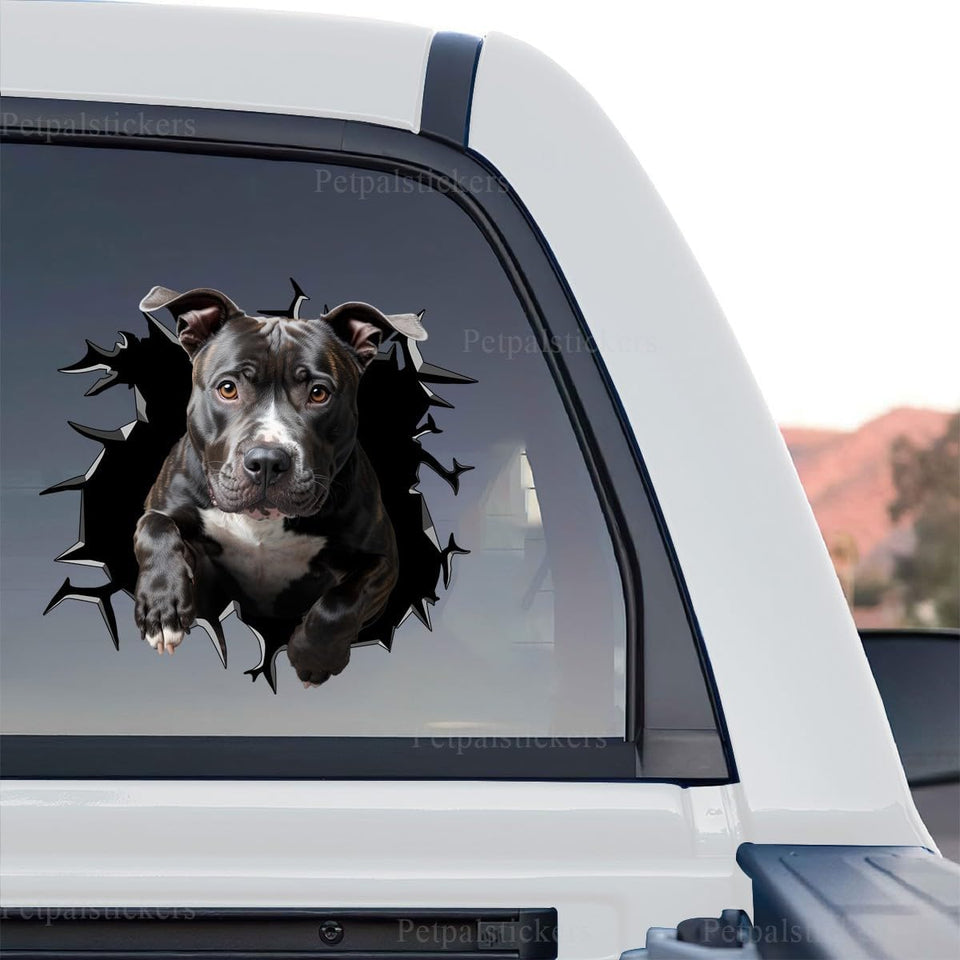 Vibrant Pitbull graphic decal standalone product design showing cracked glass effect.