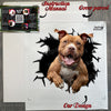 Securely boxed product package containing the Pitbull car decal and step-by-step instructions.