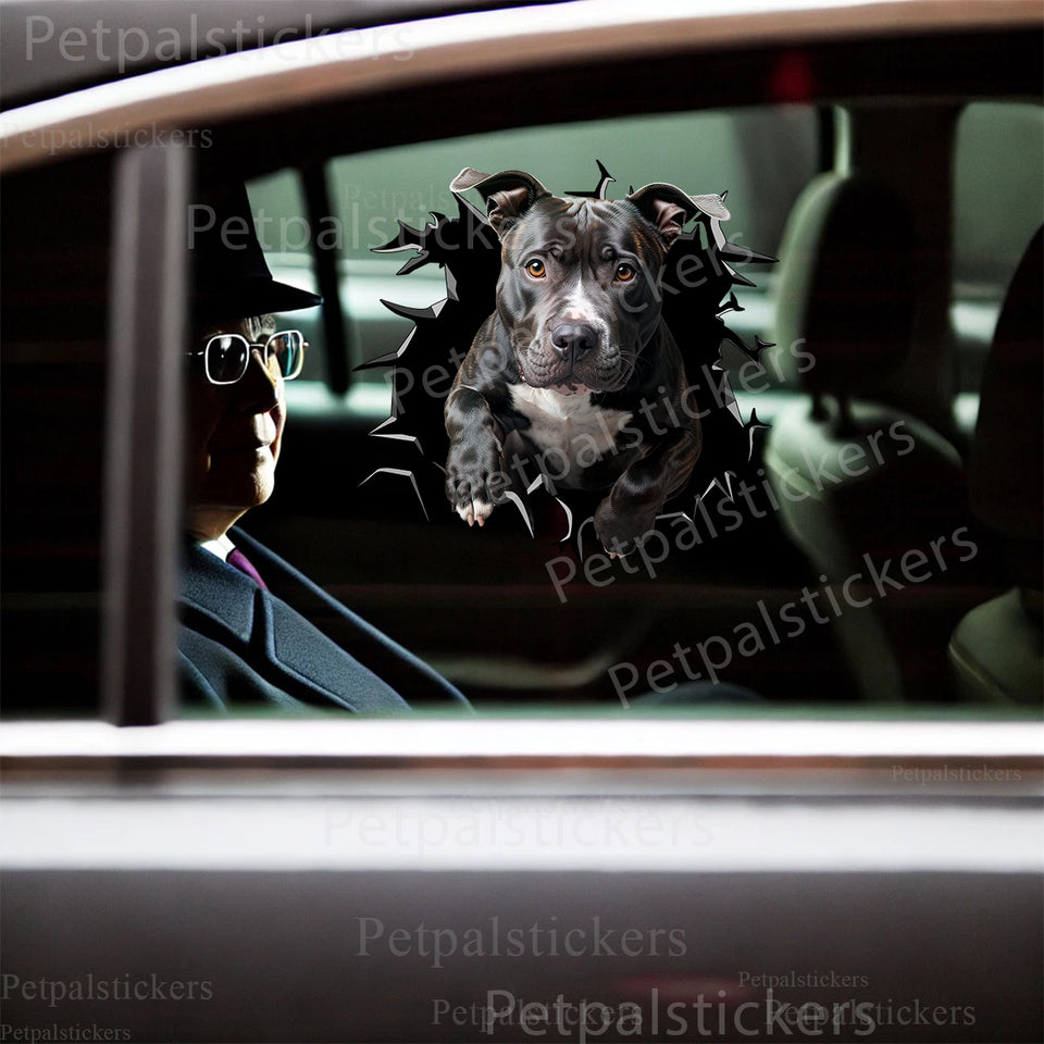 Realistic Pitbull window sticker displayed prominently on an exterior car door.