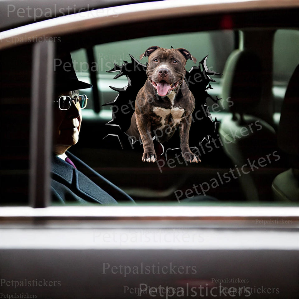 Vibrant Pitbull graphic sticker applied smoothly to the exterior car door of a white sedan.