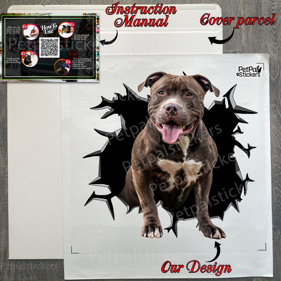 Protective unboxing package showing the premium Pitbull decal with clear instructions included.