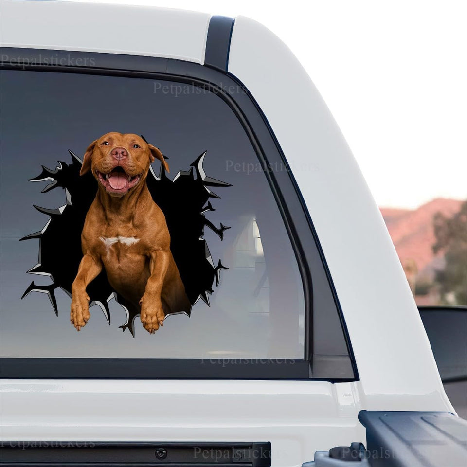Standalone product design of a funny Pitbull peeking car decal on a clear background.