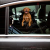 Playful Pitbull dog sticker displayed smoothly on a white car door surface.
