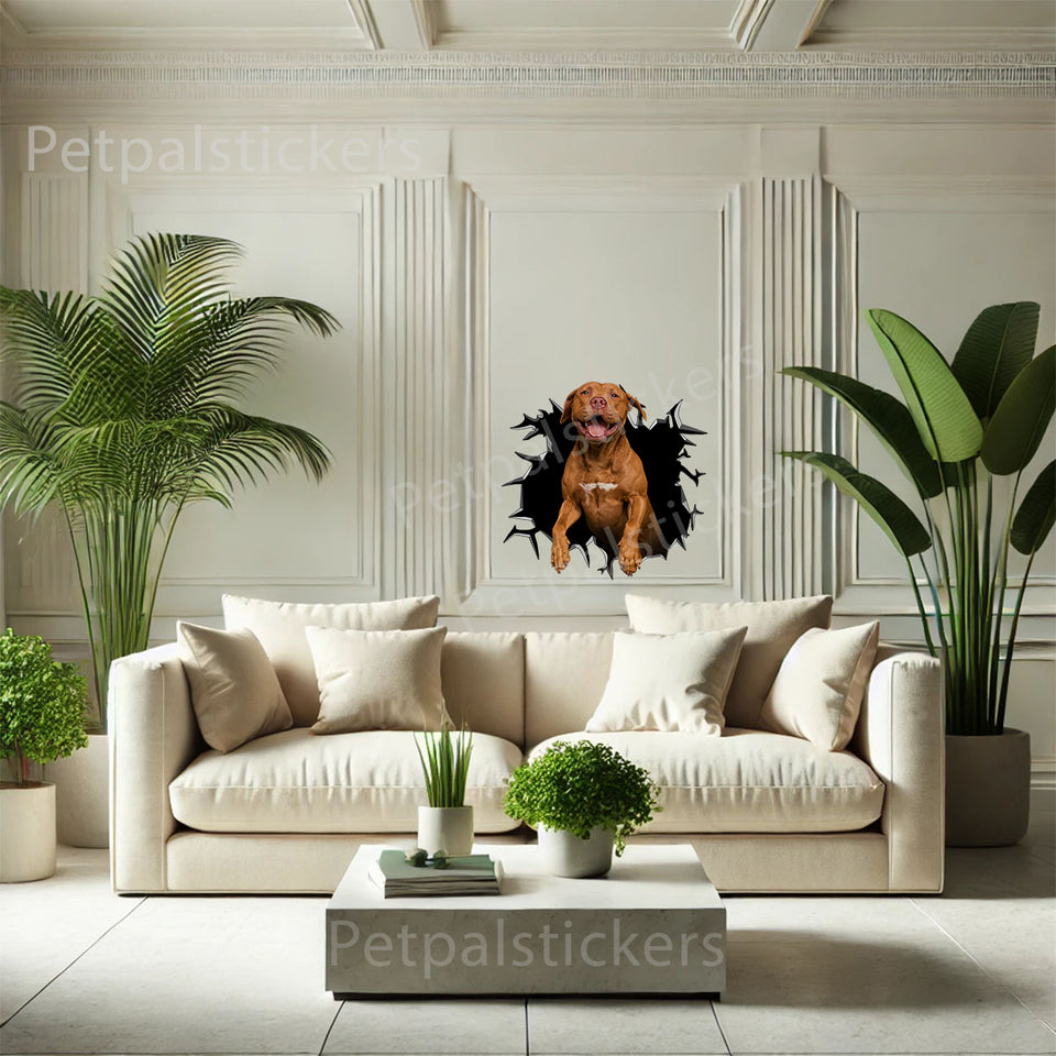 Decorative Pitbull graphic decal placed neatly on an interior home wall.