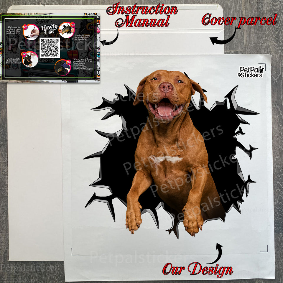 Protective package displaying the premium 11x11 inch Pitbull car window decal.