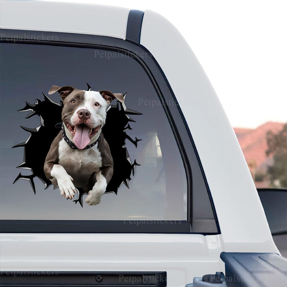 Vibrant Pitbull graphic decal featuring a standalone product design on transparent vinyl.