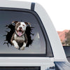 Vibrant Pitbull graphic decal featuring a standalone product design on transparent vinyl.