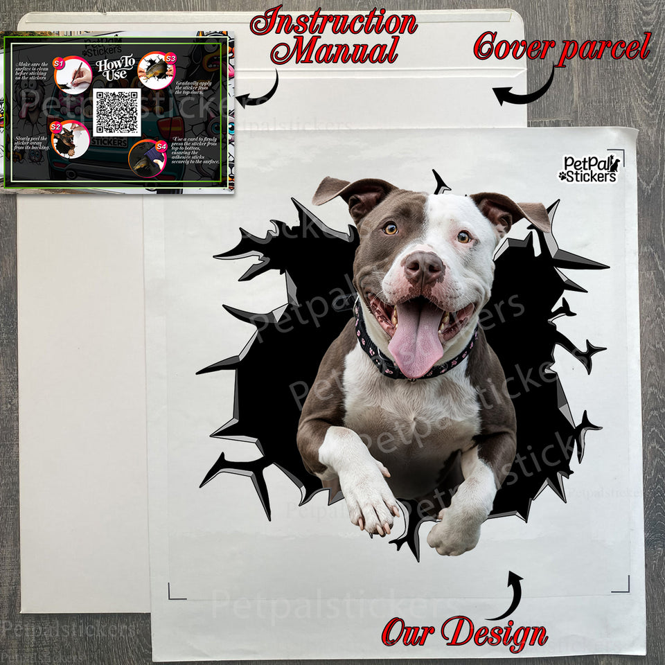 Protective mailing package holding the Pitbull vinyl decal with included guide.