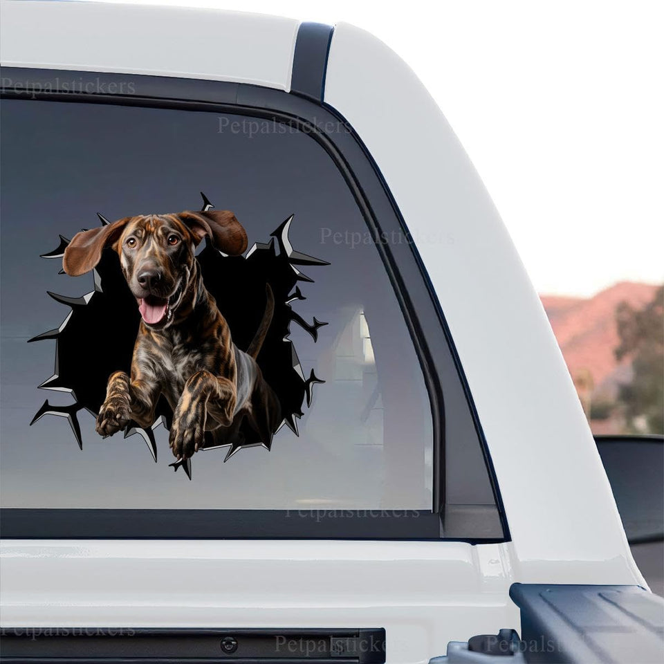 Clear standalone product design featuring a lifelike Plott Hound head peeking out.