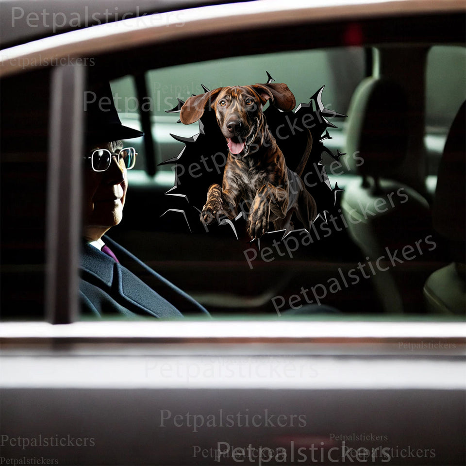 Vibrant Plott Hound graphic sticker applied smoothly onto a white car door surface.