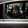 Vibrant Plott Hound graphic sticker applied smoothly onto a white car door surface.