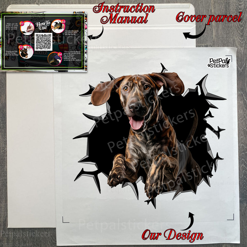 Protective package containing the Plott Hound decal with complete application guide.