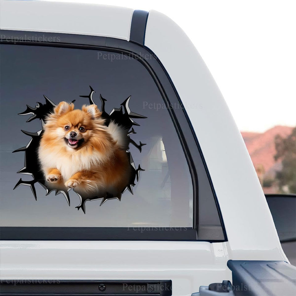 Vibrant Pomeranian graphic art displayed as a standalone product design on transparent film.