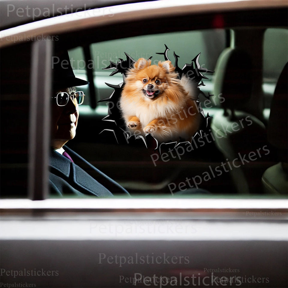 Glossy Pomeranian sticker neatly applied to a clean car door surface for pet enthusiasts.