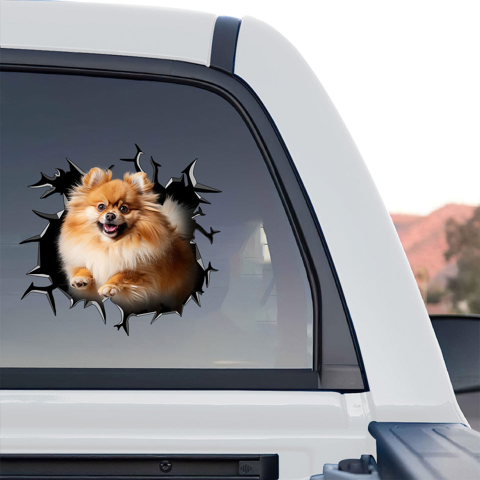 Cute Pomeranian dog decal featured on the side window of a truck for outdoor style.