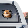 Cute Pomeranian dog decal featured on the side window of a truck for outdoor style.