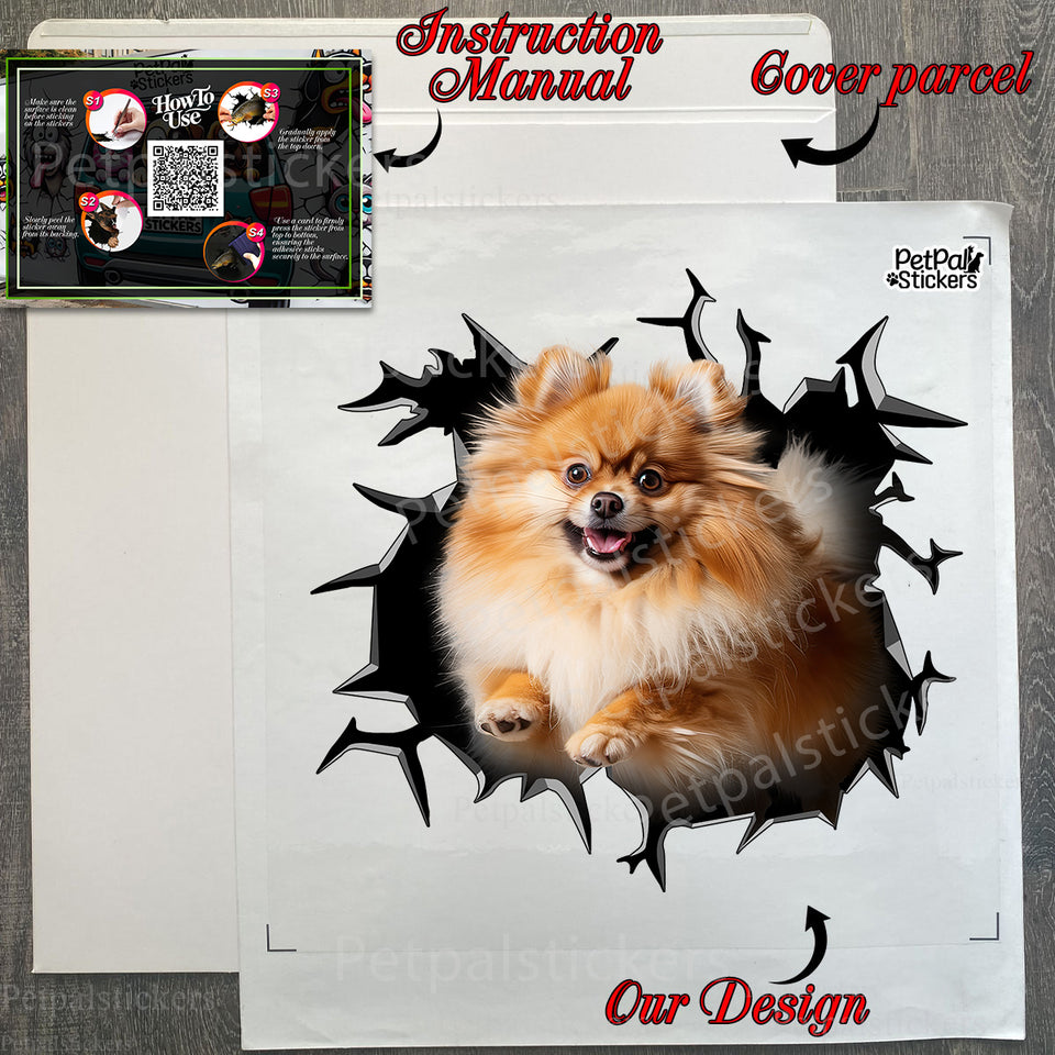 Secure protective package holding a fresh Pomeranian vinyl decal with instructions.