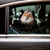 Glossy Pomeranian dog decal adhered smoothly to a vehicle car door.