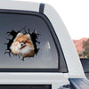 Vibrant Pomeranian pet sticker displayed on the rear window of a truck.