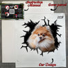 Unboxed Pomeranian decal shown with its complete protective retail package.