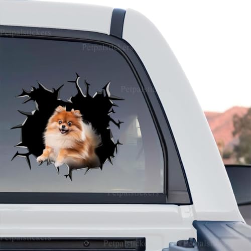 Pomeranian 3D cracked glass graphic decal shown in a standalone product design layout.