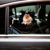 Fluffy Pomeranian sticker applied smoothly on a white car door exterior surface.