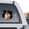 Vibrant Pomeranian decal displayed on the back window of a truck parked outdoors.