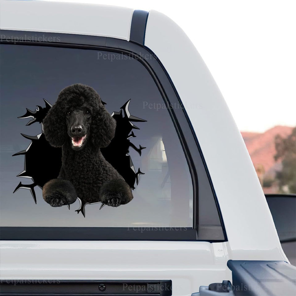 Glossy Poodle graphic decal showcased as a standalone product design on transparent film.