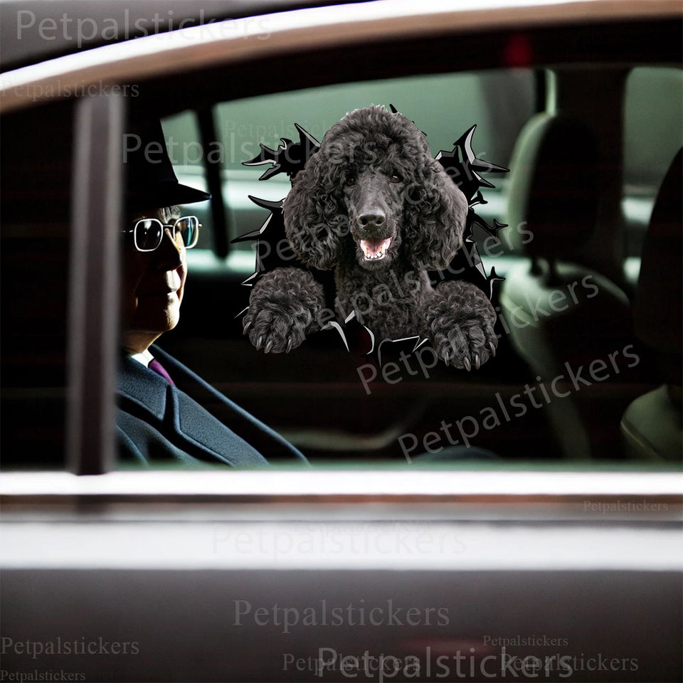 Cute Poodle vinyl sticker cleanly applied to the exterior car door of a white commuter vehicle.
