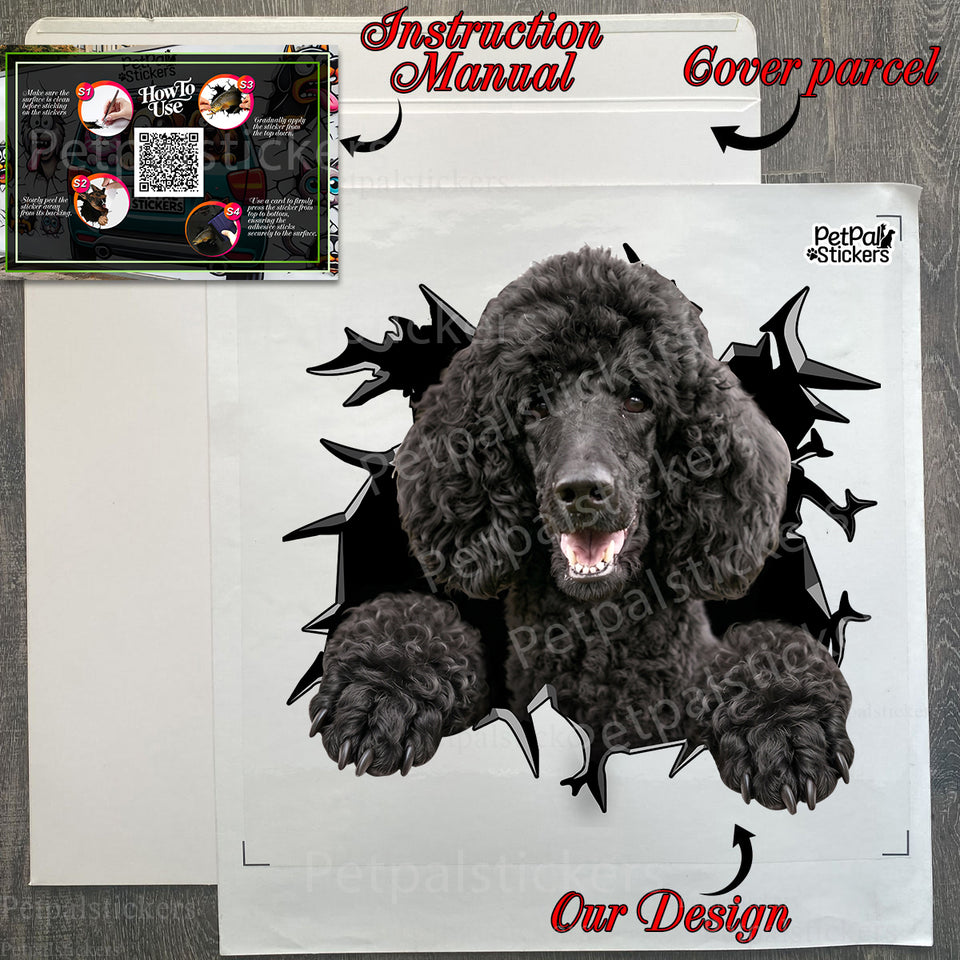 Secure protective package containing the transparent Poodle car decal with full instructions.