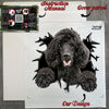 Secure protective package containing the transparent Poodle car decal with full instructions.