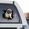 Cute Pug graphic decal artwork displayed on a transparent background standalone product design.