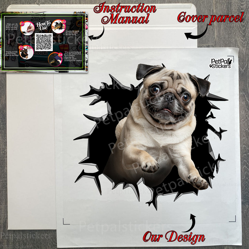 Protective mailer package containing the 11x11 Pug vinyl decal and instructions.