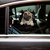 Charming Pug vinyl graphic decal displayed cleanly on a white car door.