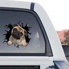 Adorable Pug decal applied smoothly to the rear glass of a truck outdoors.