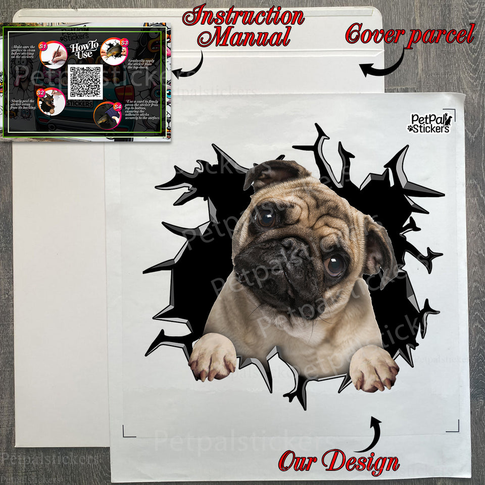 Securely packaged Pug decal alongside easy instructions in a sturdy package.